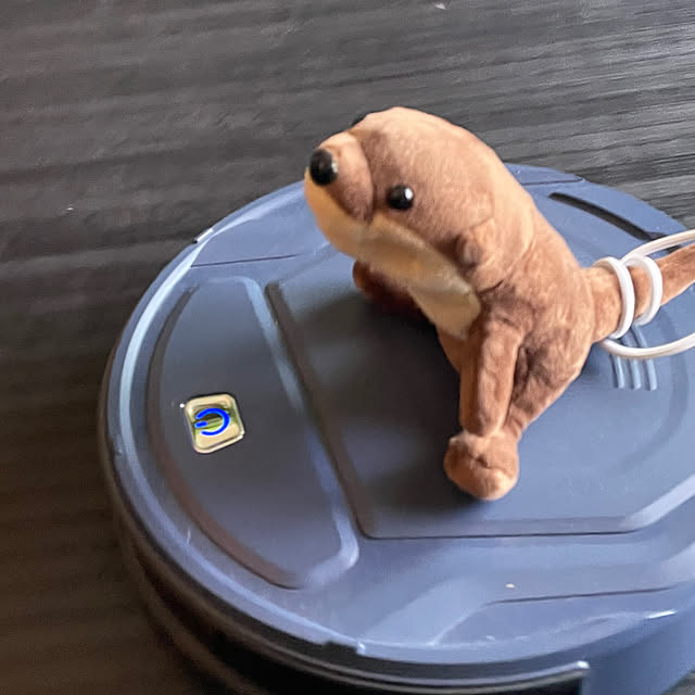 aureaさんの実例写真
