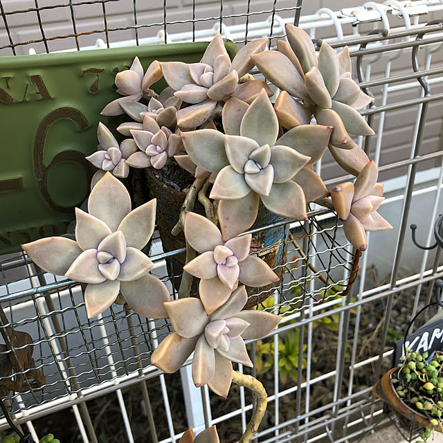 tinkさんの実例写真