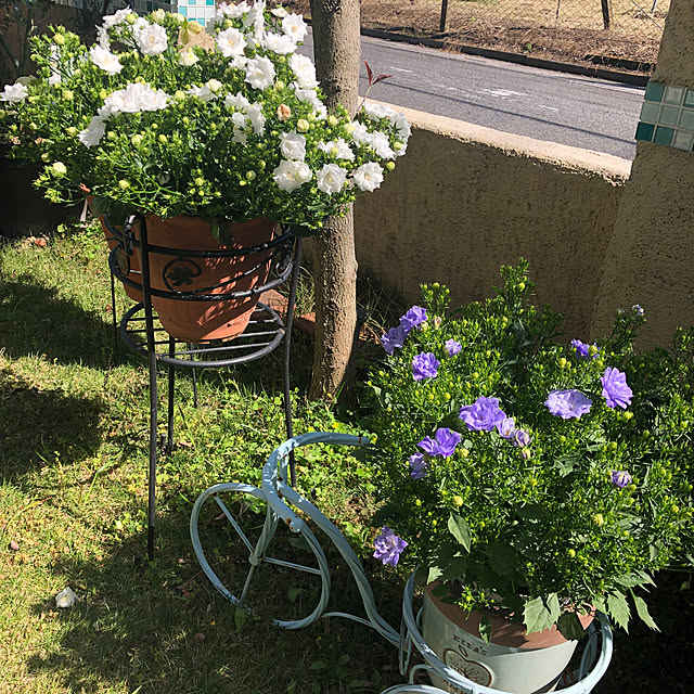 miukiさんの実例写真