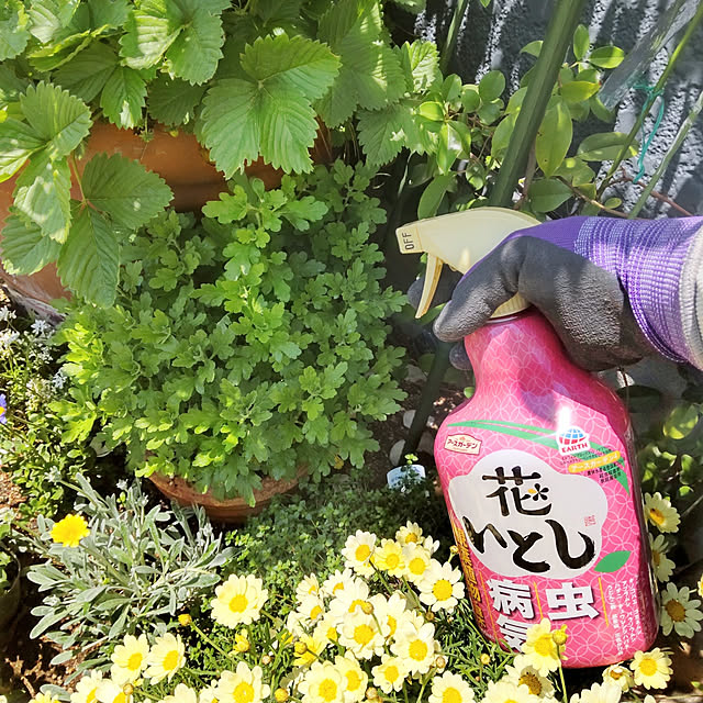 ampinさんの実例写真