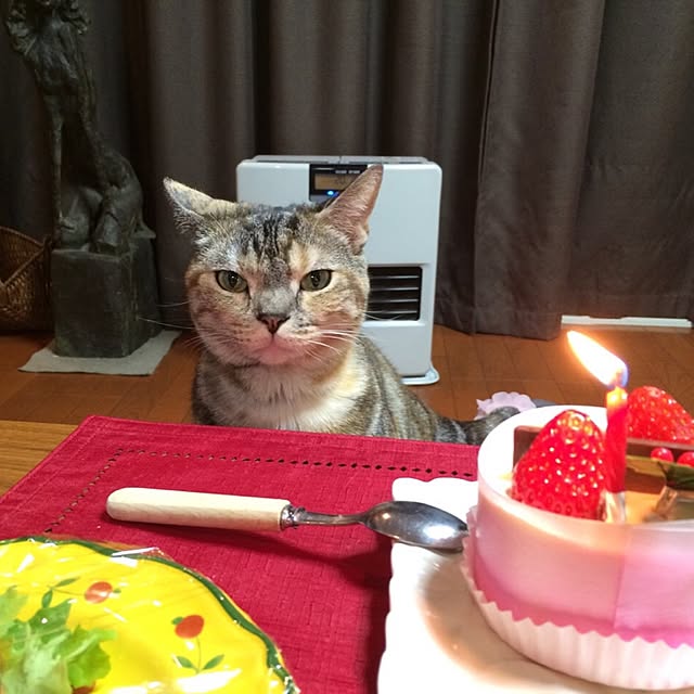 Noelさんの実例写真