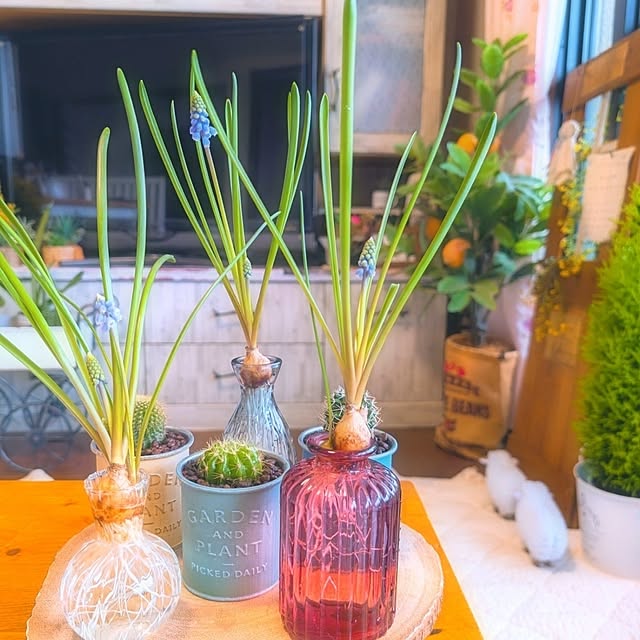 harumoeさんの実例写真