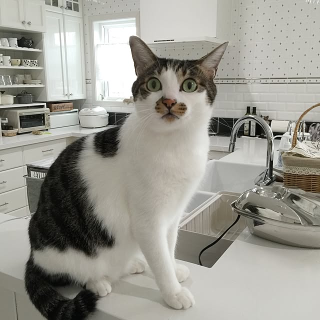 yuchiさんの実例写真