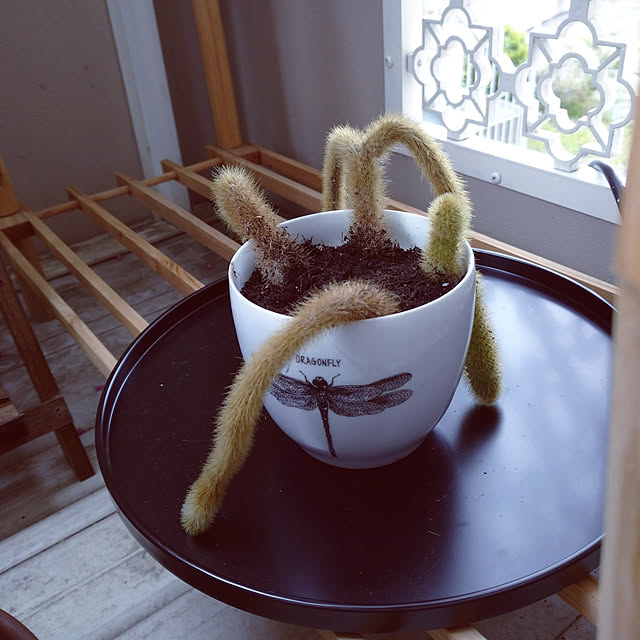 m.mさんの実例写真
