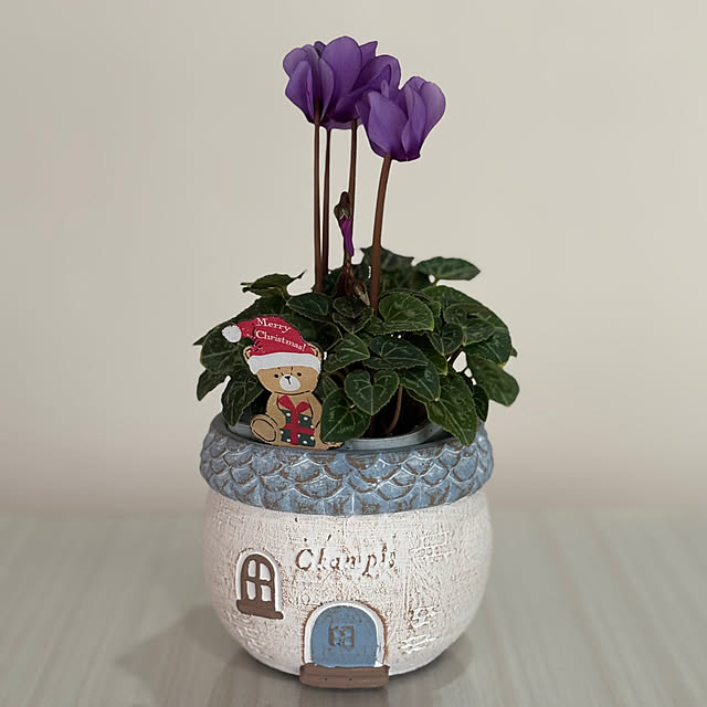 maayaさんの部屋