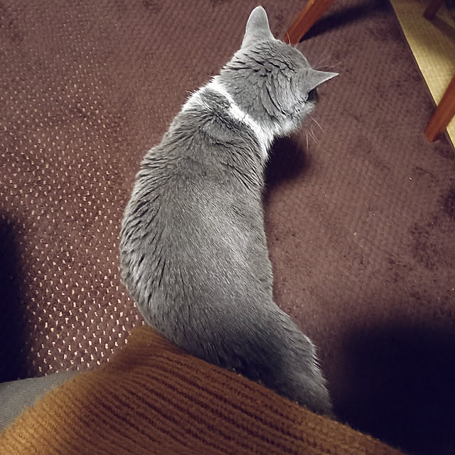 rhuさんの実例写真