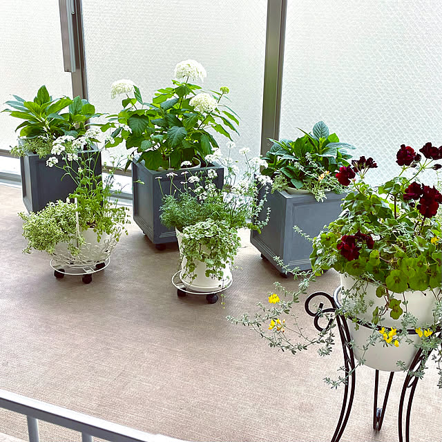 KLさんの部屋