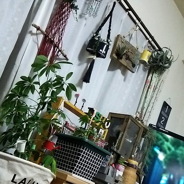 abiさんの実例写真