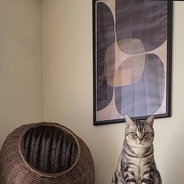 lovepeaceさんの部屋