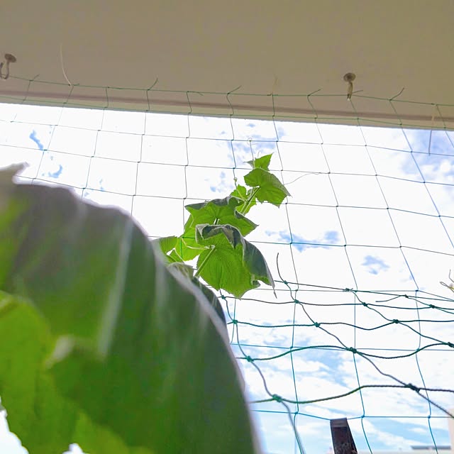 mariaさんの部屋