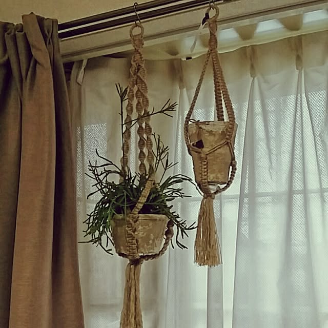 kakinotaneさんの実例写真