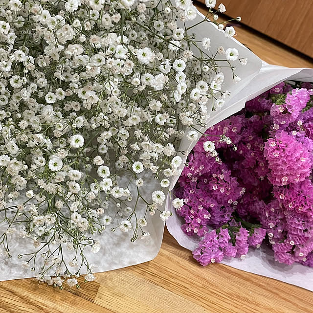 SIELUさんの部屋