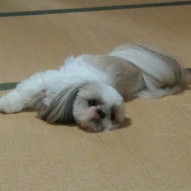 norikuuさんの実例写真