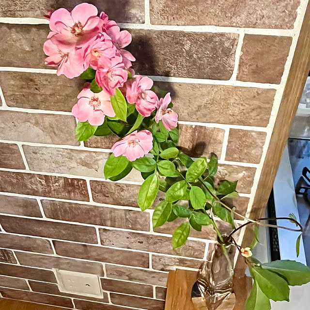 cota2さんの部屋
