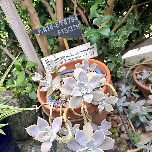 yukiさんの部屋