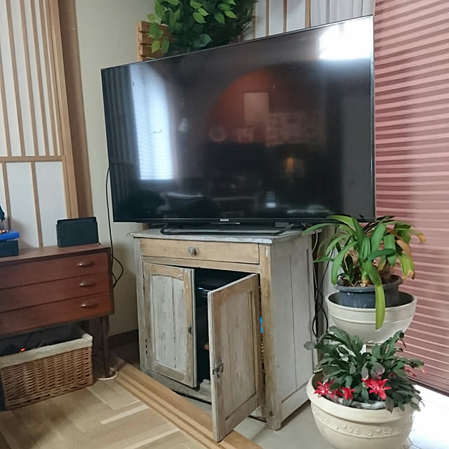 Mucchiさんの実例写真