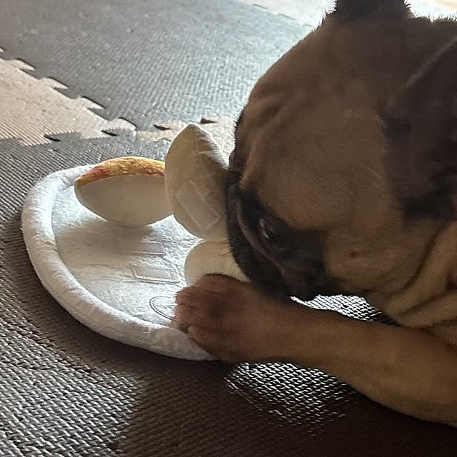 moco-chocoさんの部屋