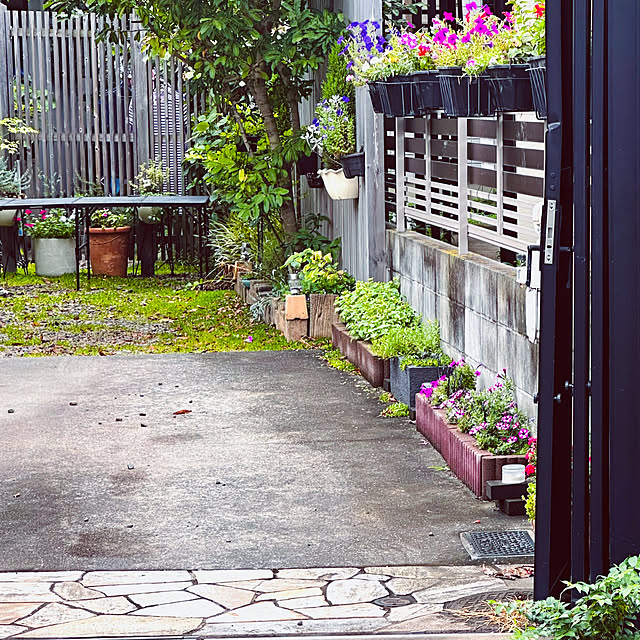 chacoさんの部屋
