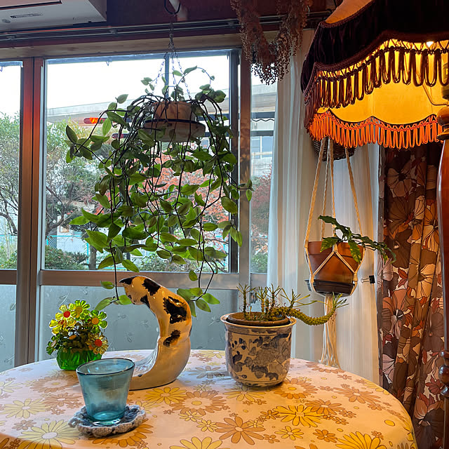 shin0719さんの実例写真