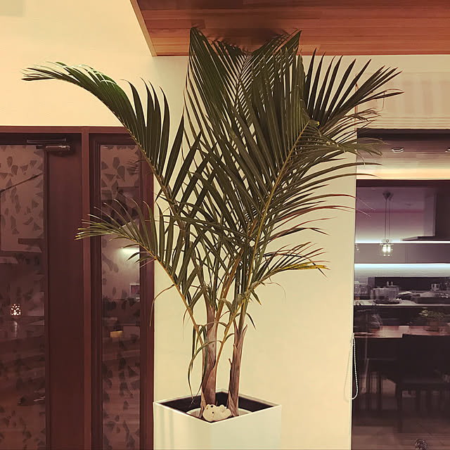 pomaikaiさんの実例写真