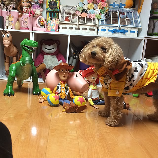 Momoさんの実例写真