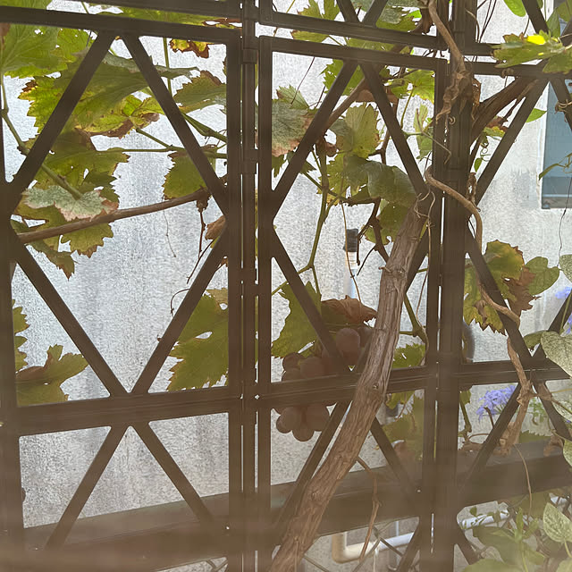 makibaruさんの部屋