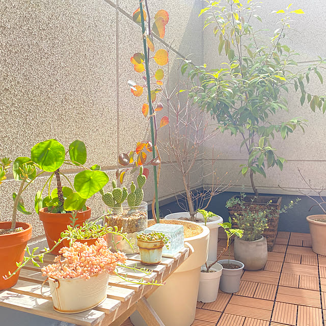 yu-rinさんの実例写真
