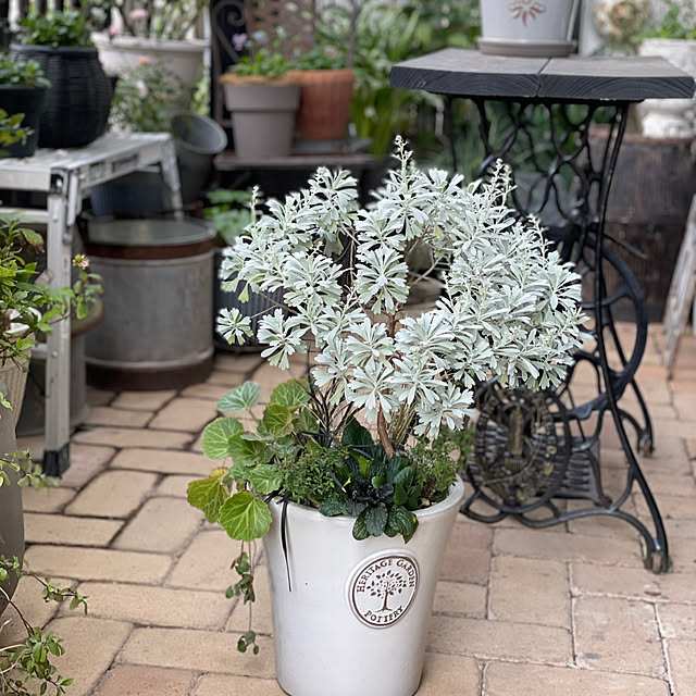 shiropenguinさんの実例写真