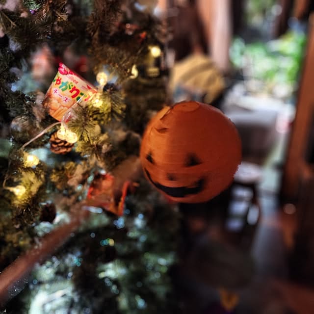 CYNOSさんの部屋