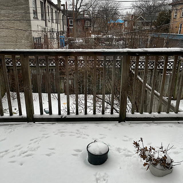 cocoarashさんの実例写真