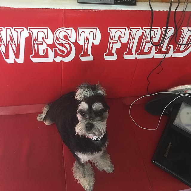 westfieldさんの実例写真