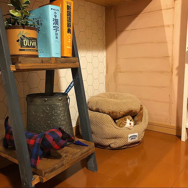 tomatoさんの実例写真