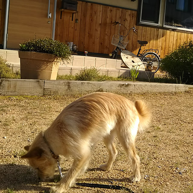t.yumiさんの実例写真