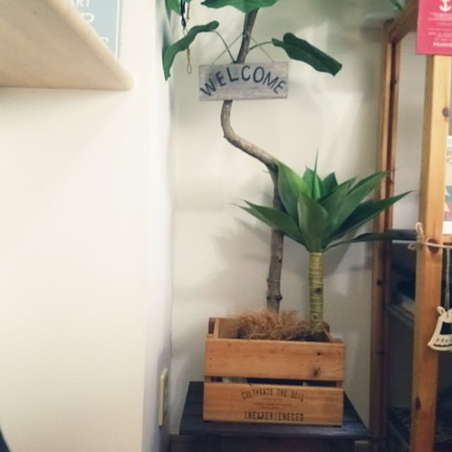 satominさんの実例写真