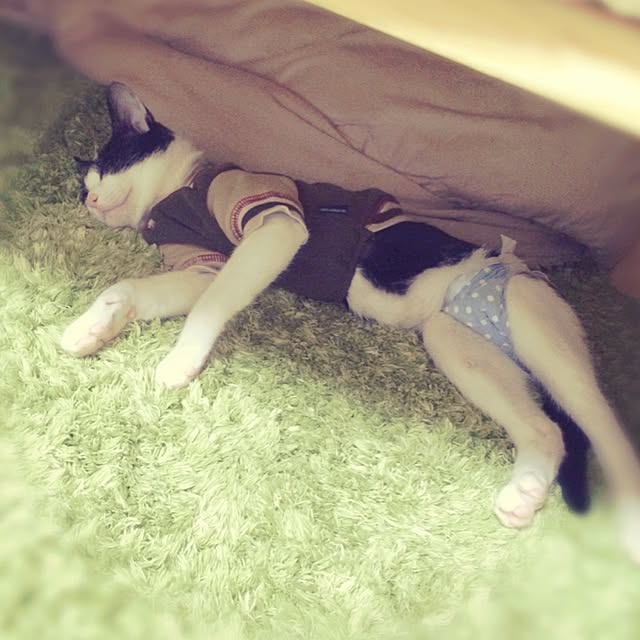 REINA612WORKSさんの実例写真