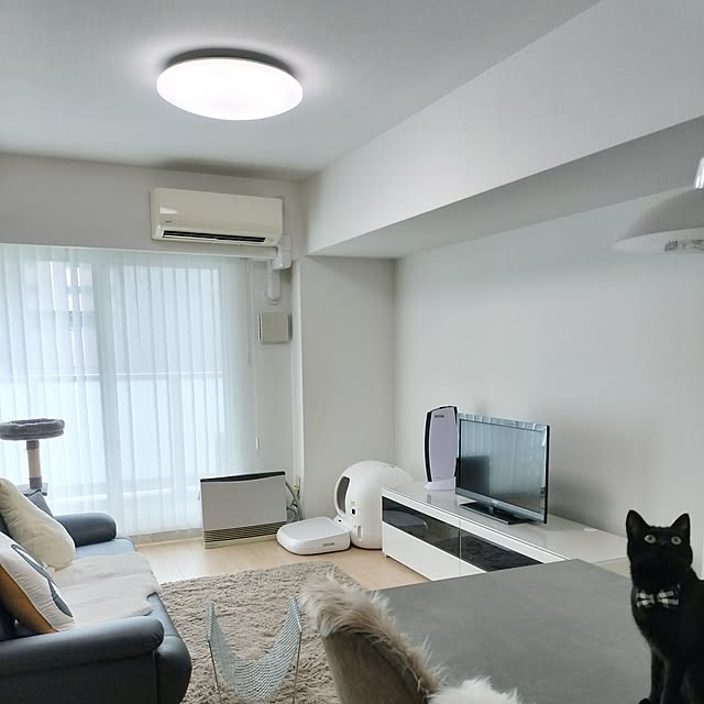 sakuraさんの部屋