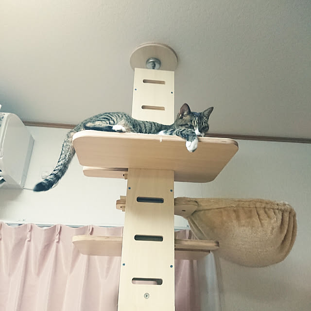 nachiさんの実例写真