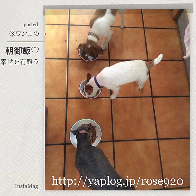 20rose_mamiさんの実例写真