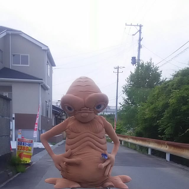 実例写真