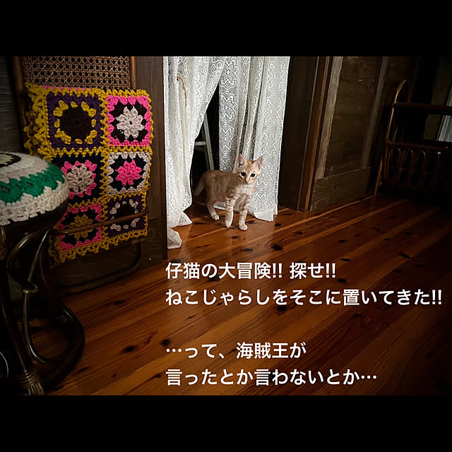 marusanさんの実例写真