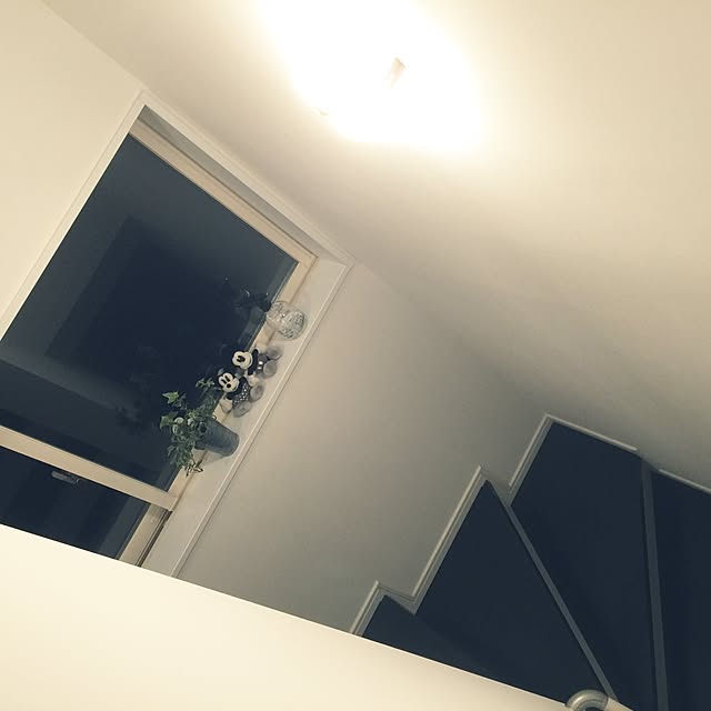 aizoさんの実例写真