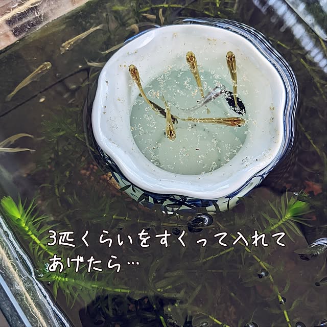 mi-saさんの部屋
