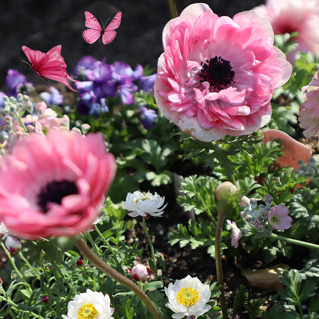 glassflowerさんの実例写真