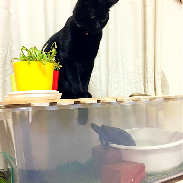 nanaさんの実例写真