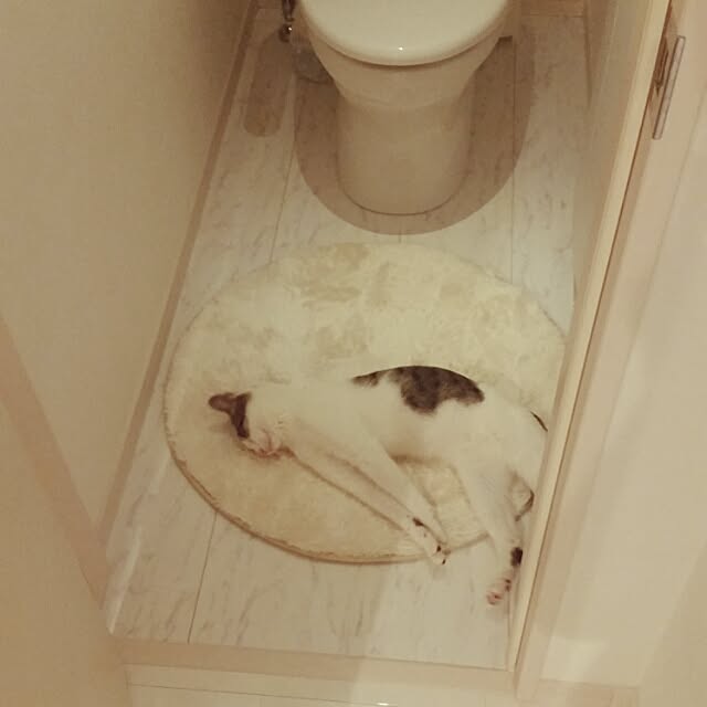 runayucoさんの実例写真