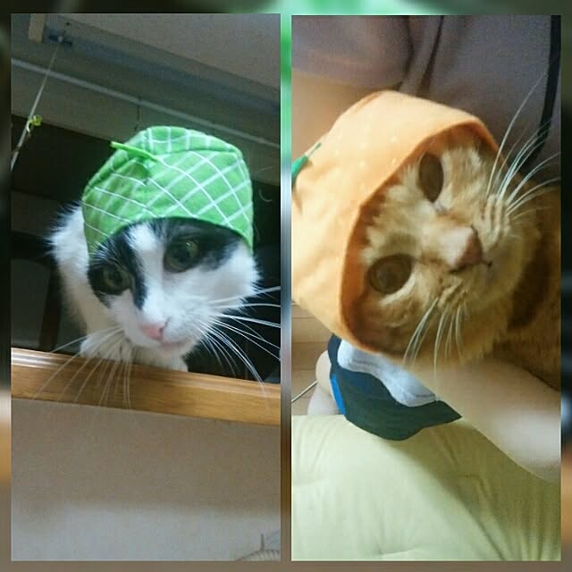 yum0408さんの実例写真