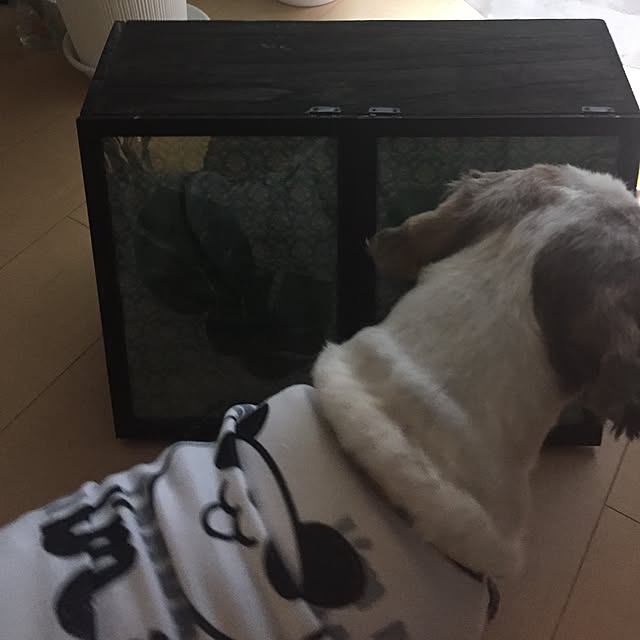emiさんの実例写真