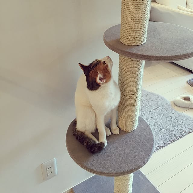 koumeさんの実例写真