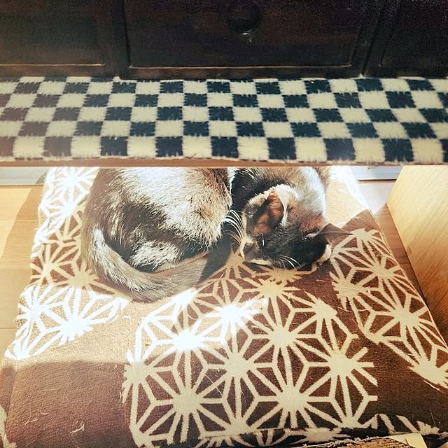 taroさんの部屋