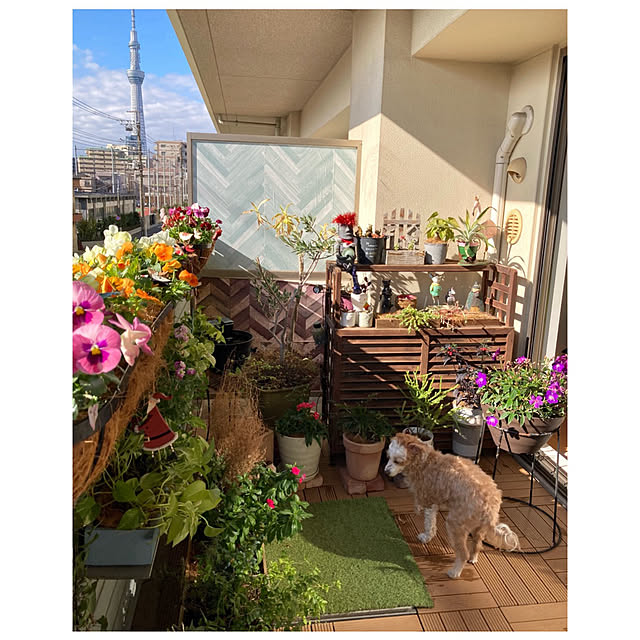 marukoさんの実例写真